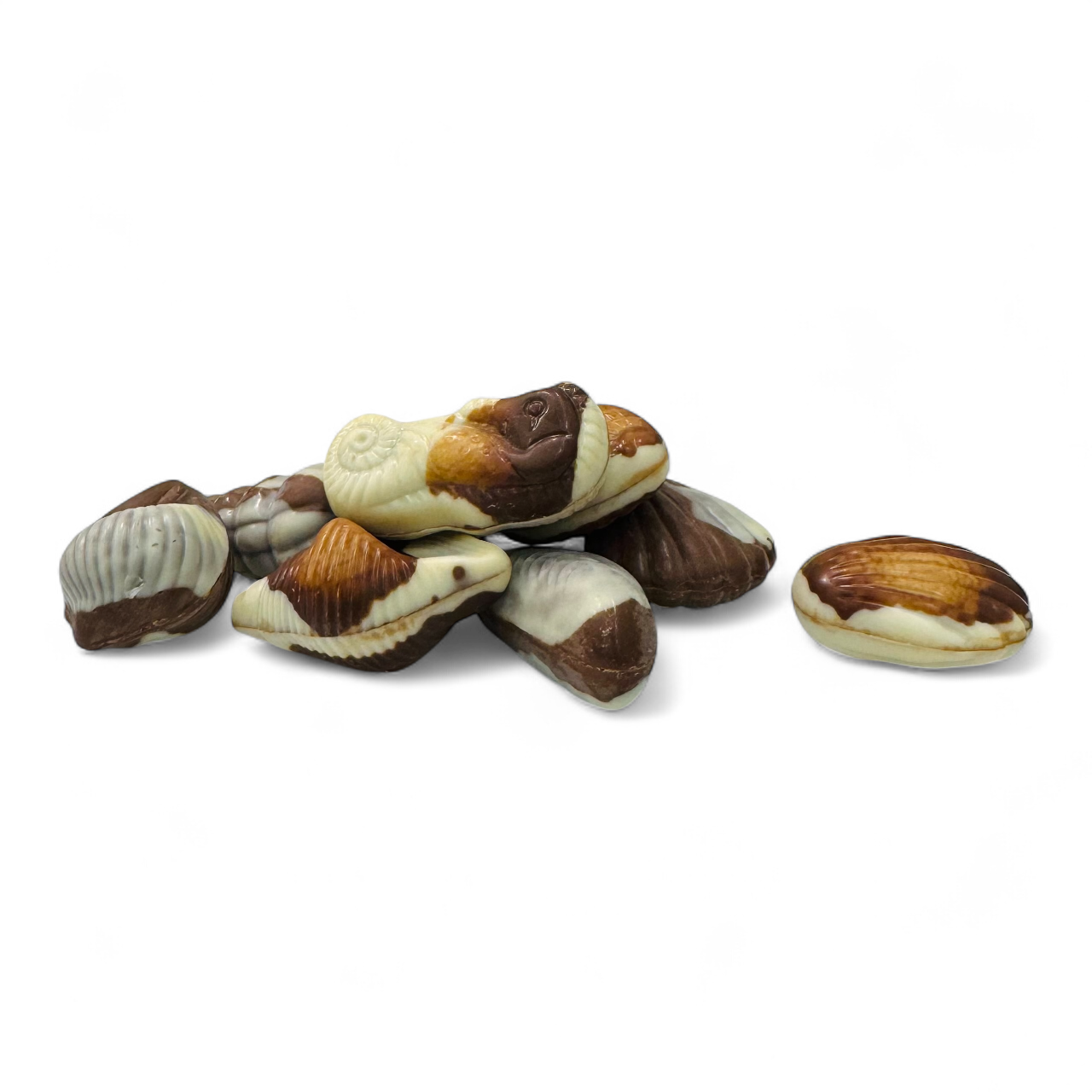 Belgian Praline Seashells