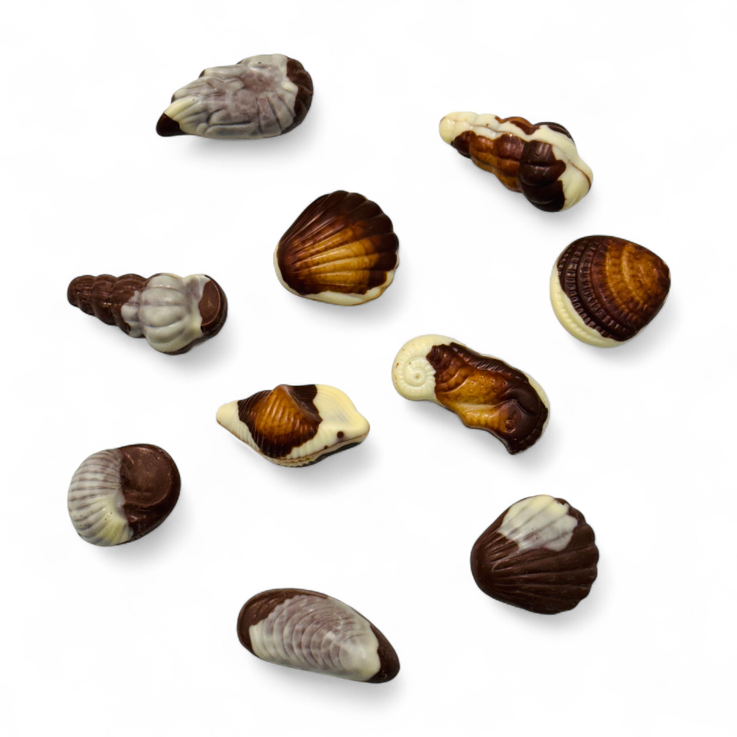 Belgian Praline Seashells