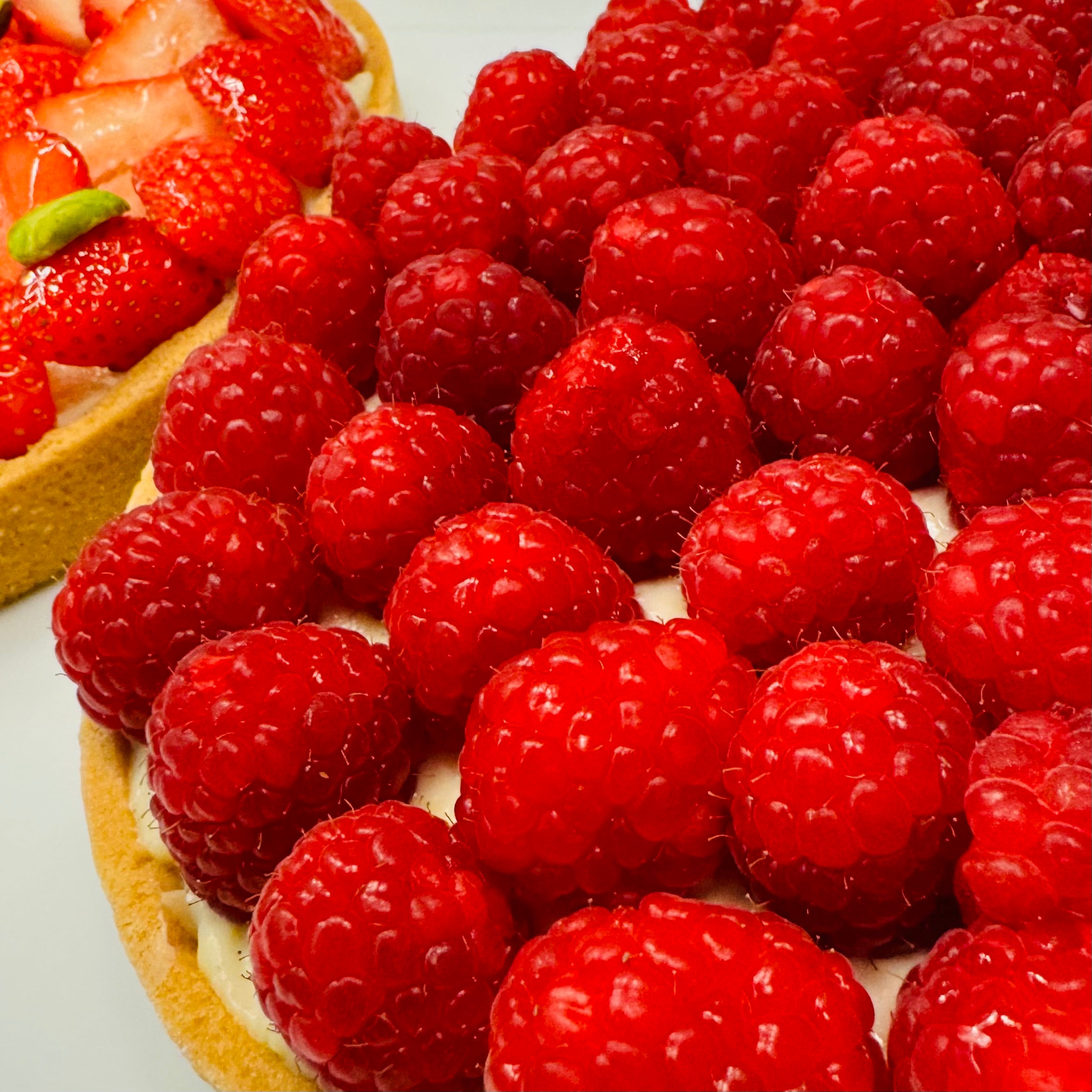 Raspberry Tart (Large)