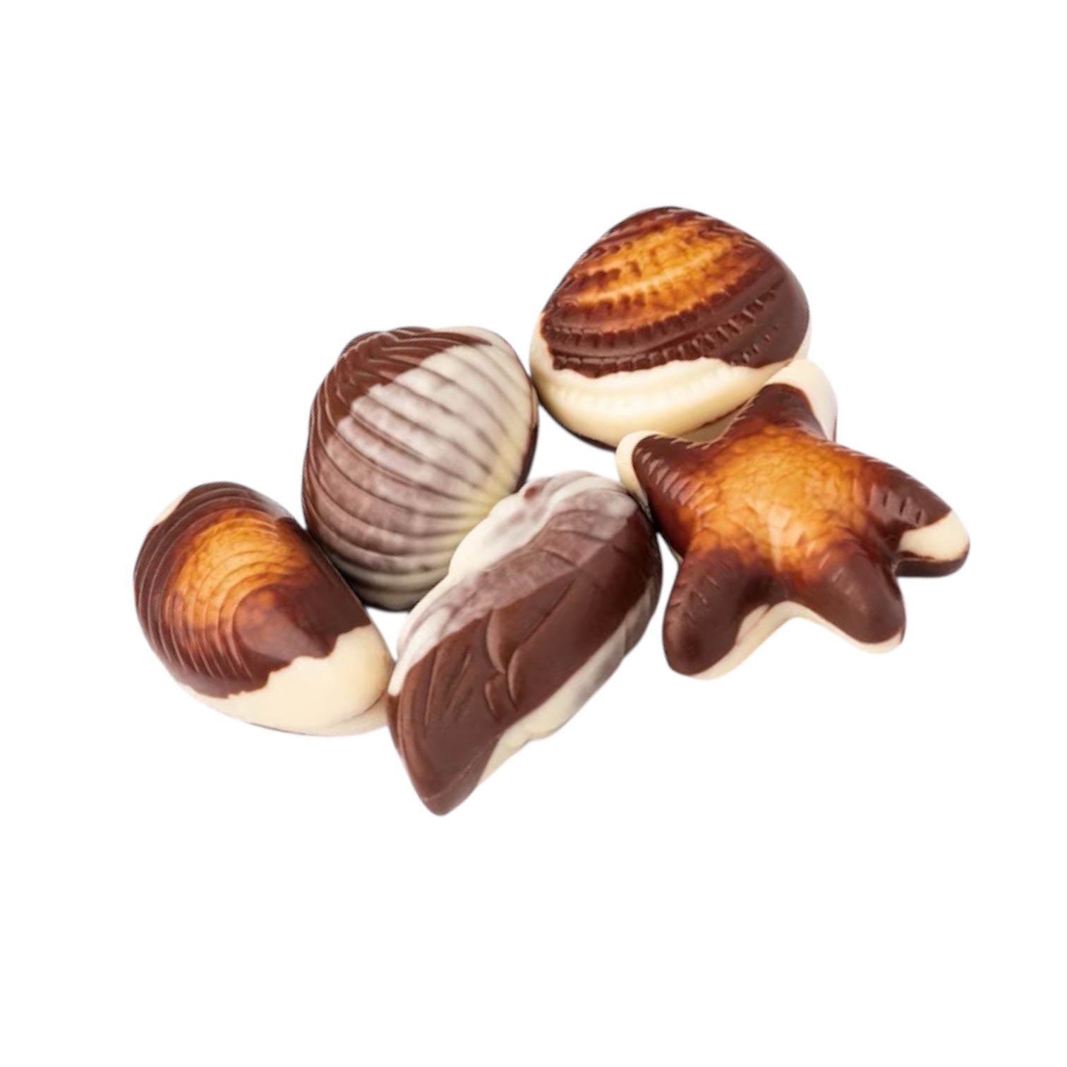 South Shields 'Sandhaven' Praline Seashells