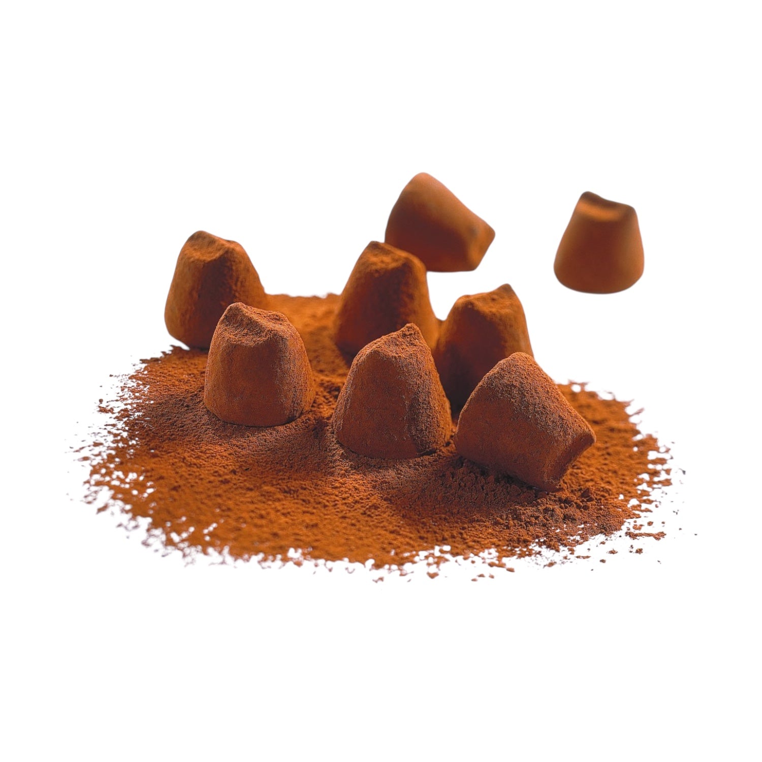 French Salted Caramel Cocoa Dusted Truffles